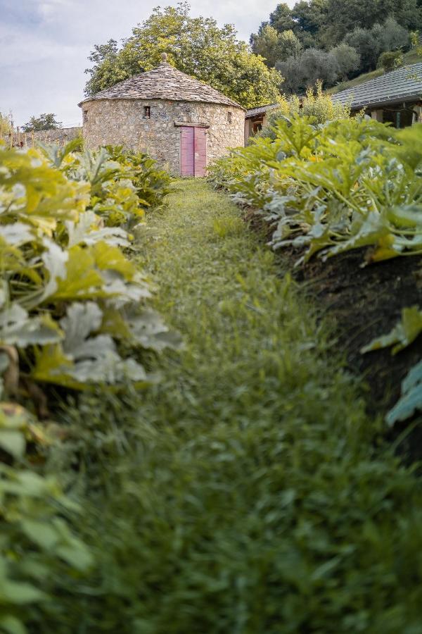 Agriturismo La Derta Villa Bellagio Kültér fotó